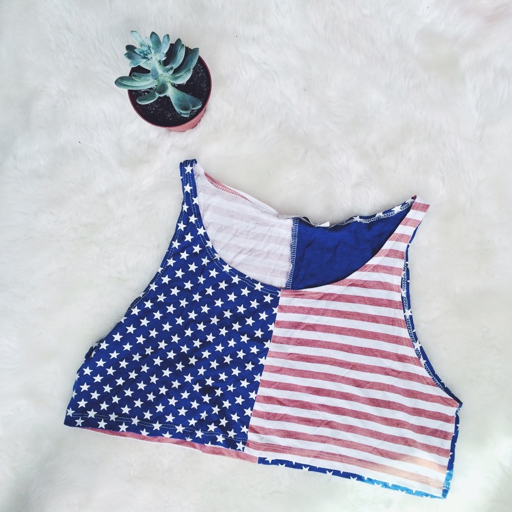 MINKPINK American Flag Crop Top